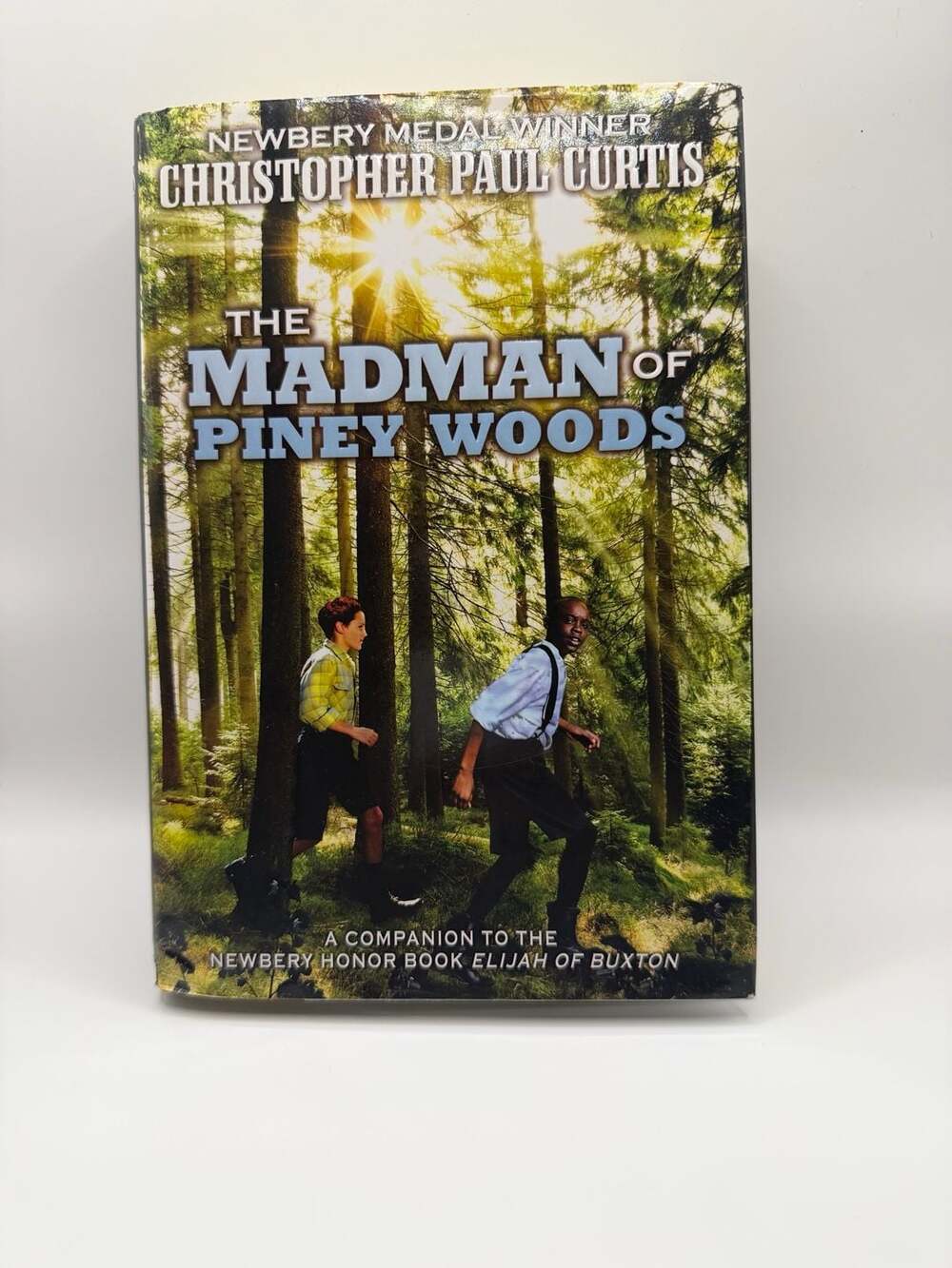 Teen and Young Adult Books (Grades 9-12) - The Madman of Piney Woods,